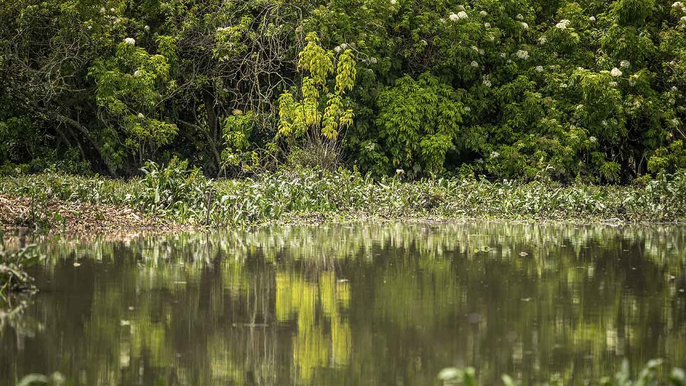 Torca - Guaymaral  Wetland