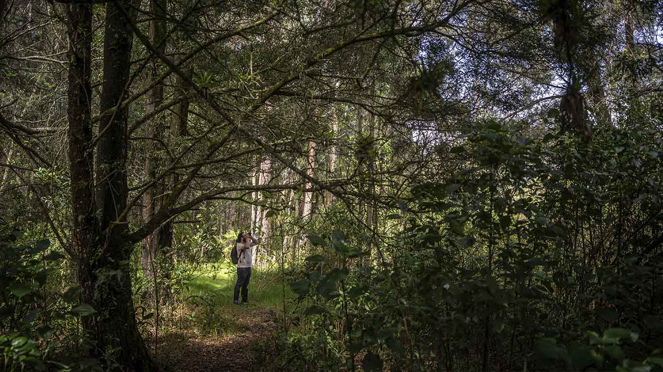 Torca - Guaymaral  Wetland