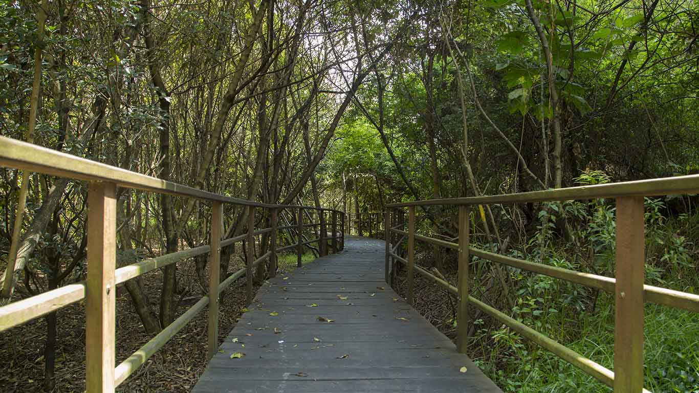 Córdoba Wetland