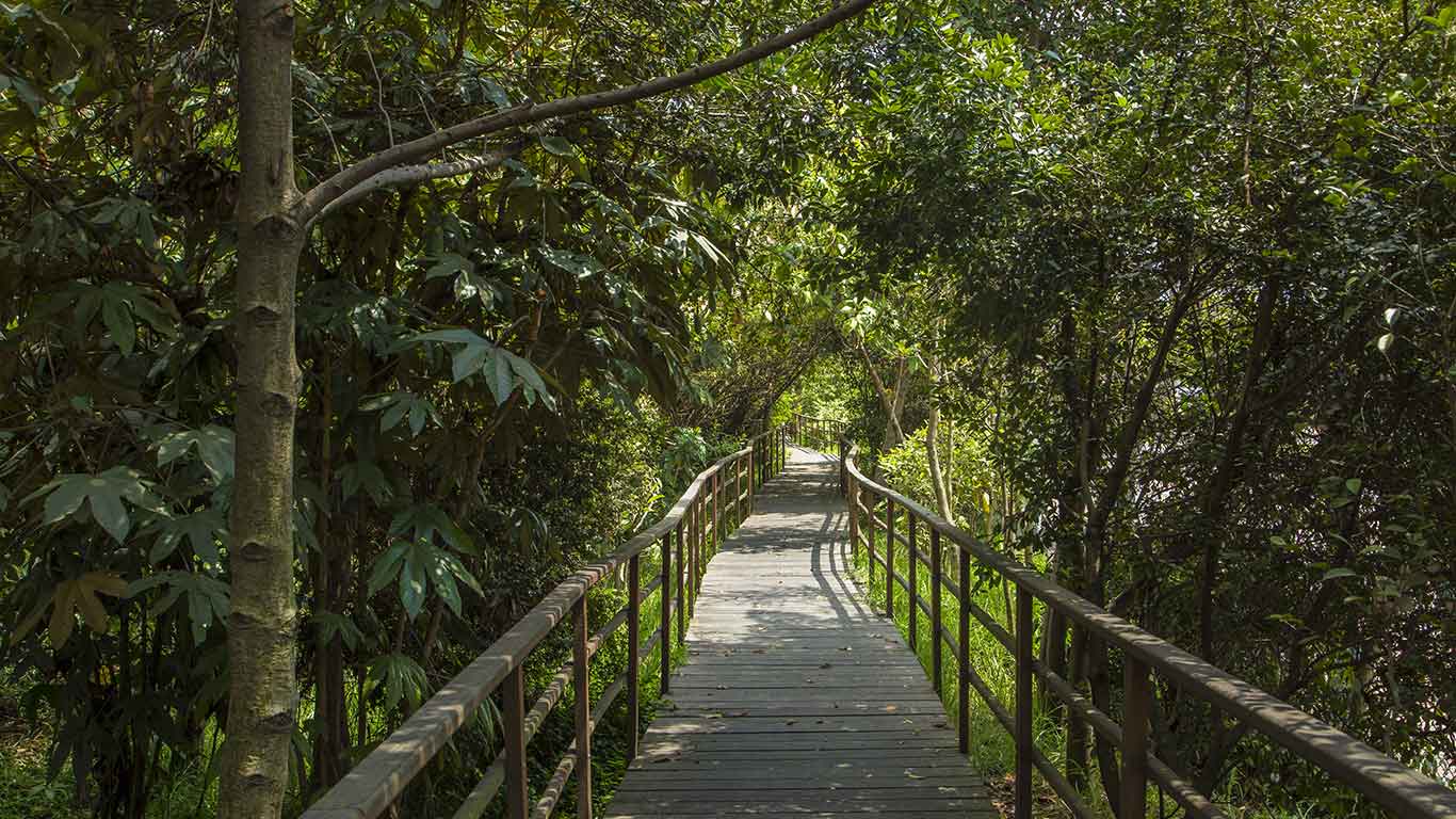 Córdoba Wetland