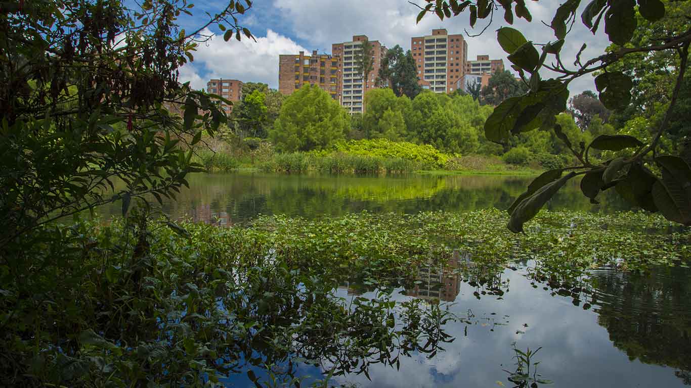 Córdoba Wetland