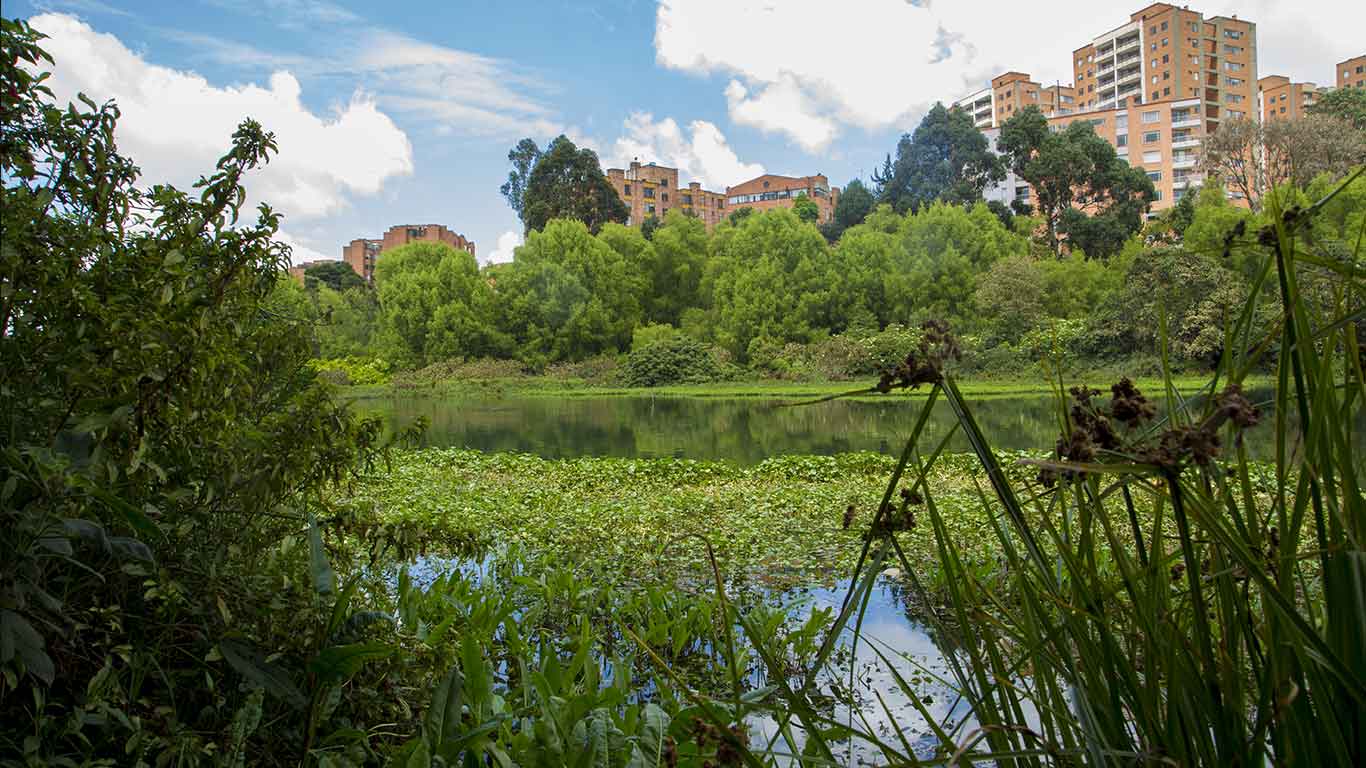 Córdoba Wetland