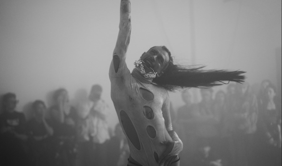 El fracaso es mi estilo - House of Tupamaras