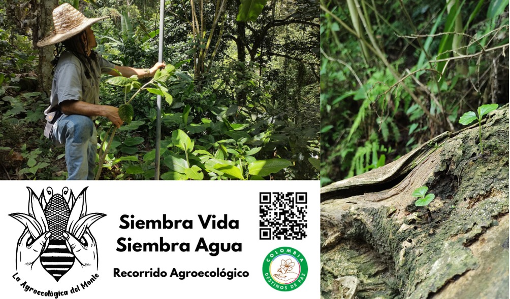 Experiencia Agroecológica Siembra de Agua