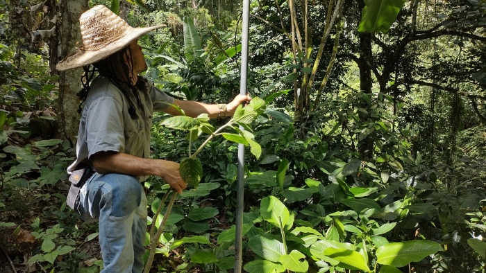 Experiencia Agroecológica Siembra de Agua