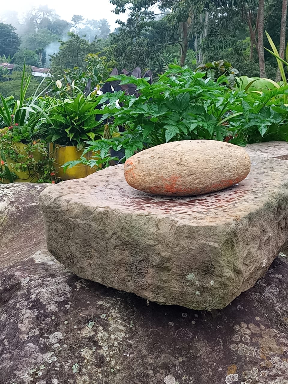 Sendero de Arte Rupestre San Martín
