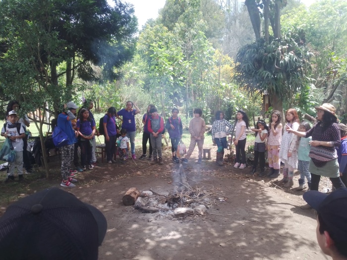 Alimentur por la Sabana