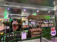 Playland