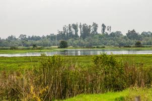 Parque Ecológico Distrital de Humedal Jaboque