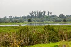Parque Ecológico Distrital de Humedal Jaboque