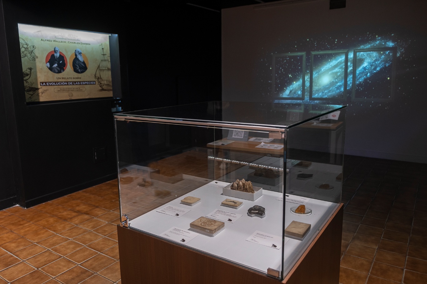Museo de La Salle