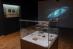 Museo de La Salle