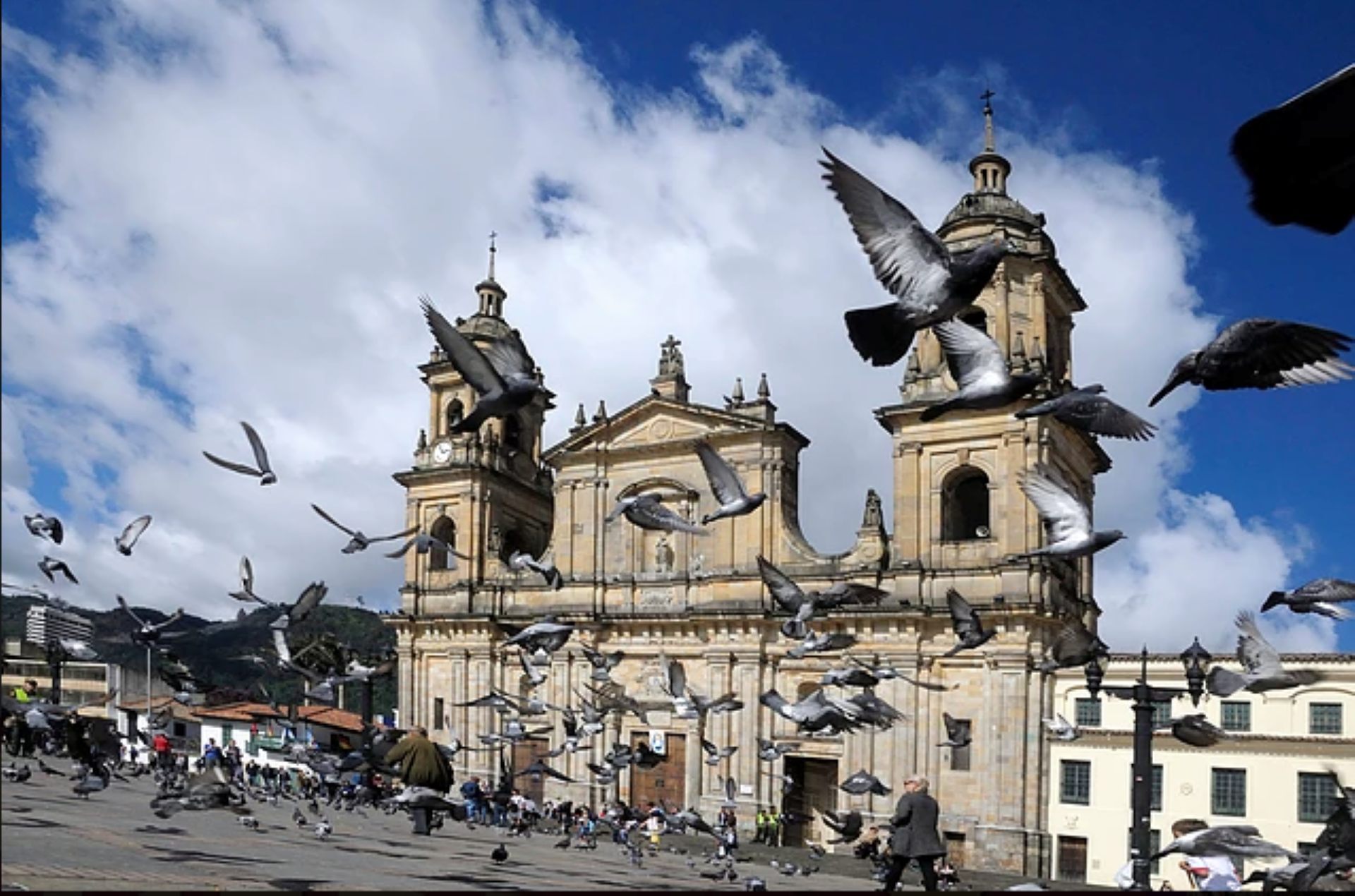 PARCHE CACHACO TOURS