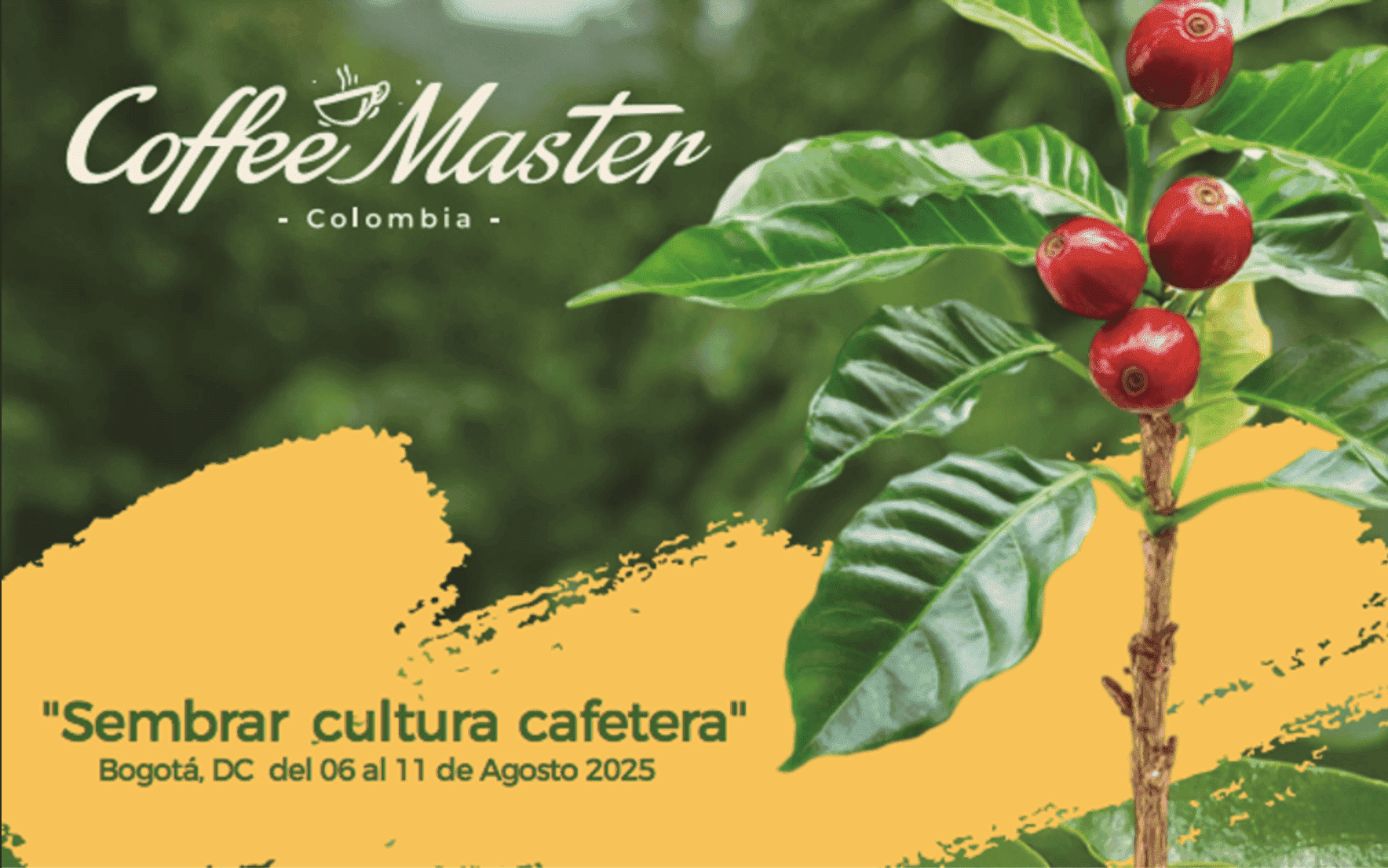 Coffee Master Colombia 2025