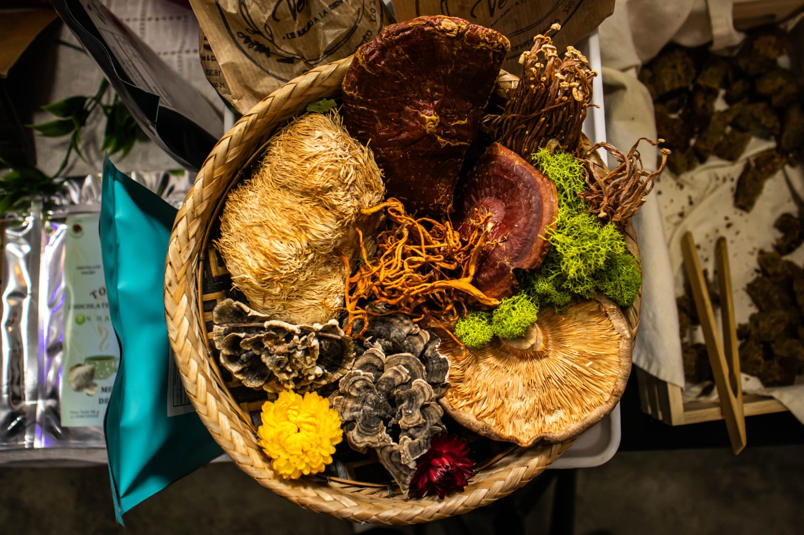 12th Mushroom Fair: Science, Gastronomy, and Culture Around the Fascinating World of Fungi