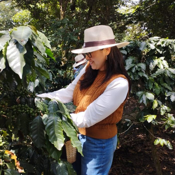 Tour Finca Cafetera
