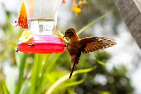 Senderos y montañas verdes: naturaleza y deporte sin salir de Bogotá