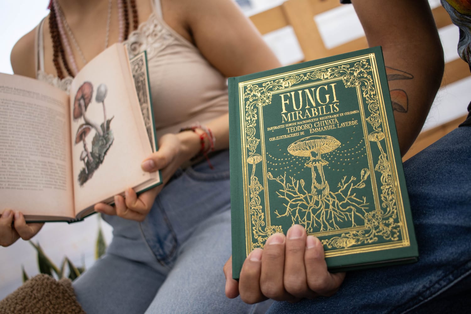 12th Mushroom Fair: Science, Gastronomy, and Culture Around the Fascinating World of Fungi