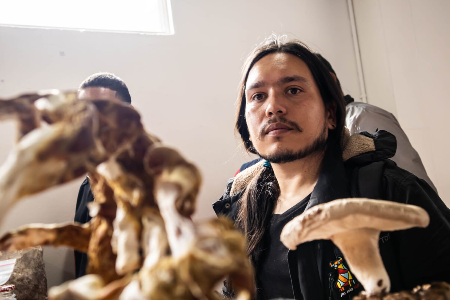 12th Mushroom Fair: Science, Gastronomy, and Culture Around the Fascinating World of Fungi
