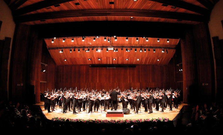 VIII Festival Interviolas Bogotá