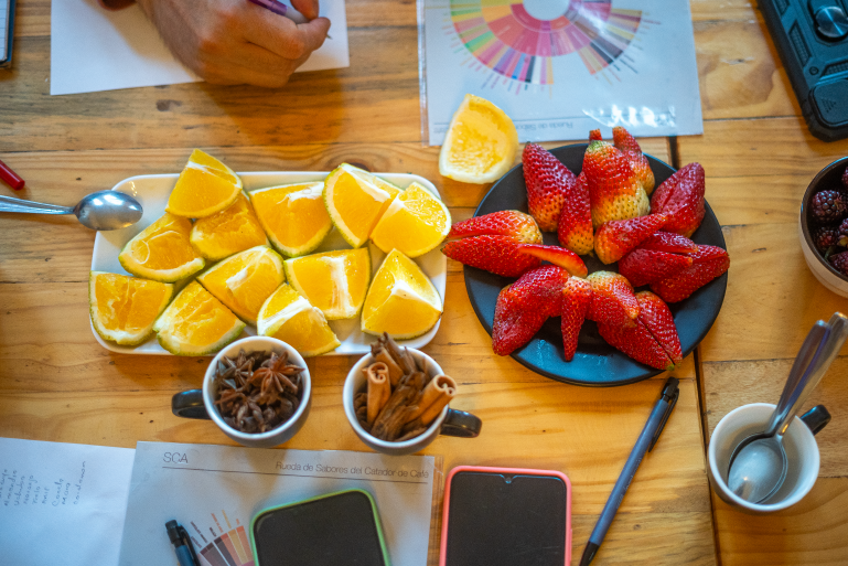 Fruits, herbs, spices, and leaves allowed us to awaken our senses before starting the experience. Photo: Diego Cuevas - IDT