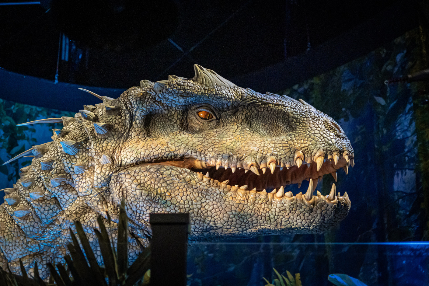 Tyrannosaurus rex de Jurassic World. Foto: Mateo Caballero - IDT
