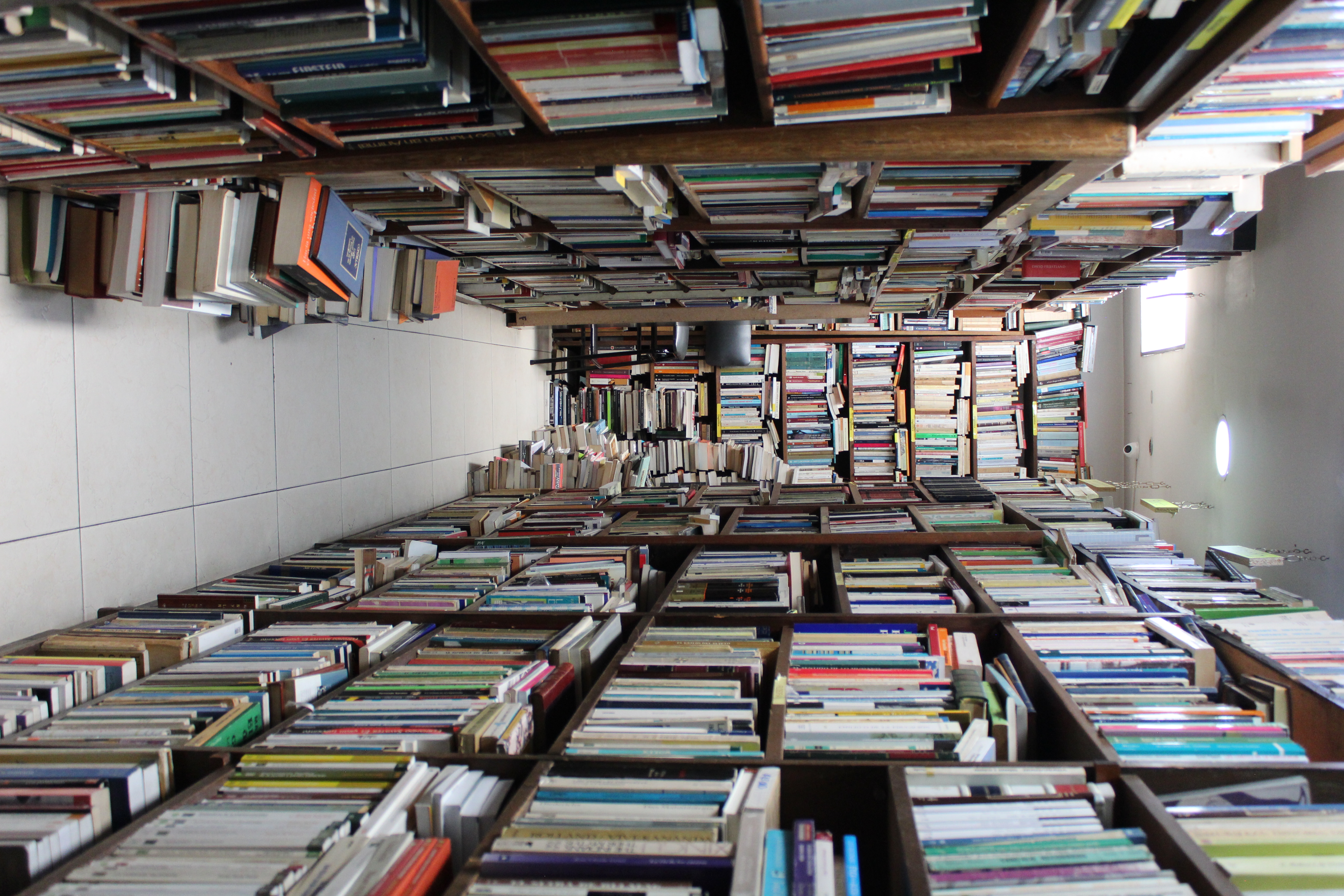 Entre pasillos de madera y páginas antiguas, Quevedo Librería y Antigüedades guarda tesoros que esperan ser descubiertos. Foto: María Fernanda García - IDT