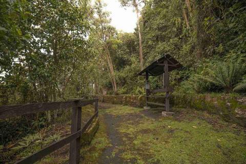 One of the trails you can walk on your visit to Monserrate. Photo by Ricardo Báez, Bogotá Tourism Office