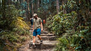 The trail to La Vieja creek is surrounded by nature. It is located in the Chapinero locality. Photo by Diego Cuevas - IDT