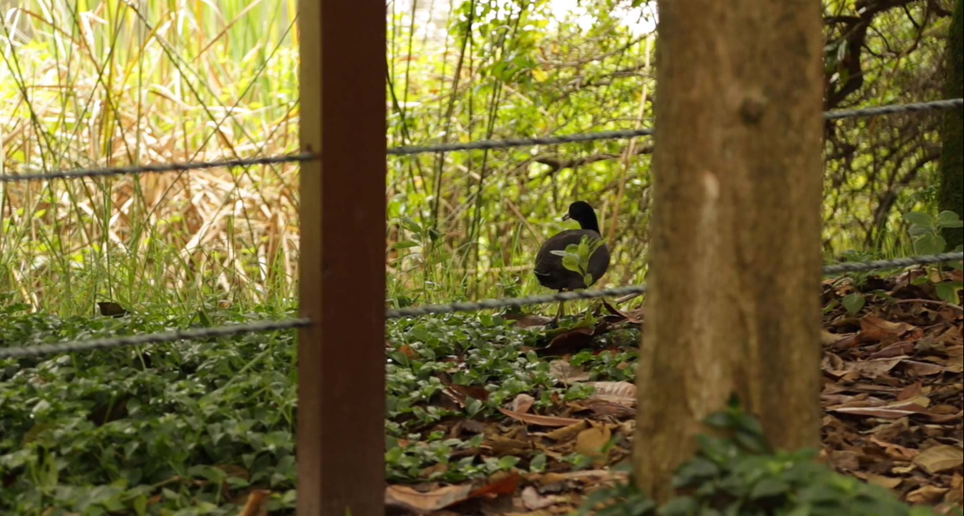 Santa María del Lago wetland