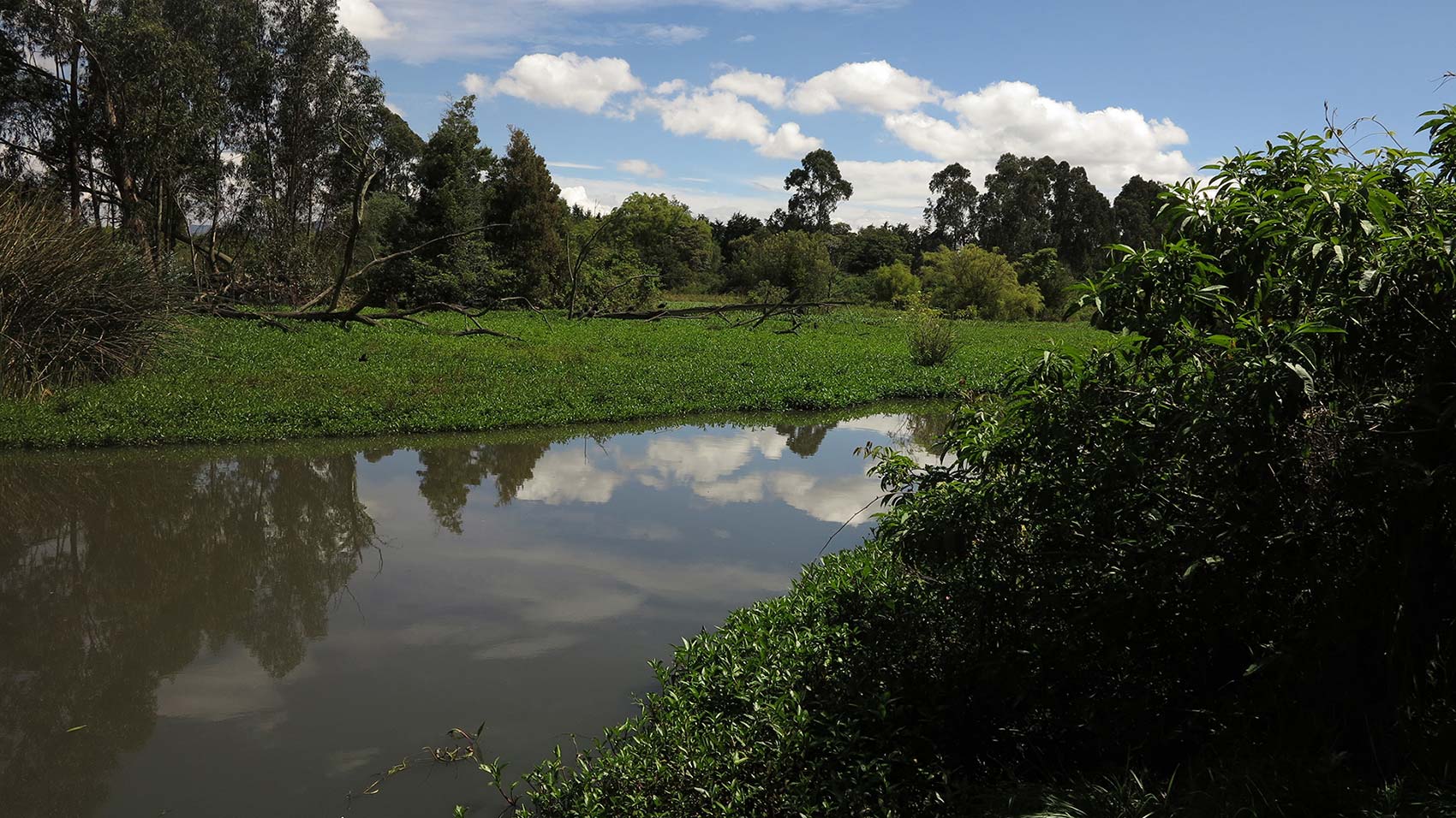 Parque Ecológico Distrital de Humedal La Conejera