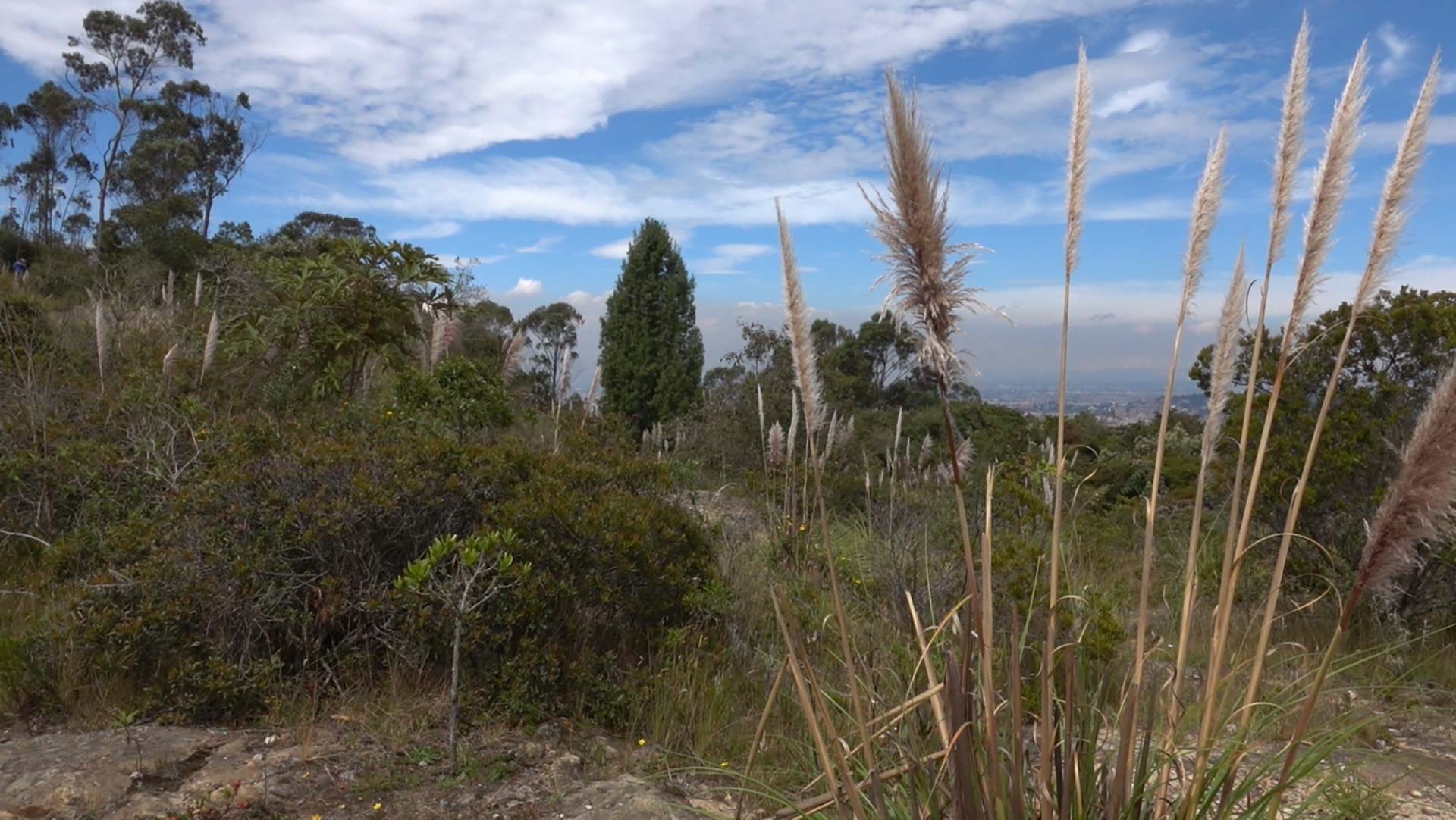 Aula Ambiental Soratama