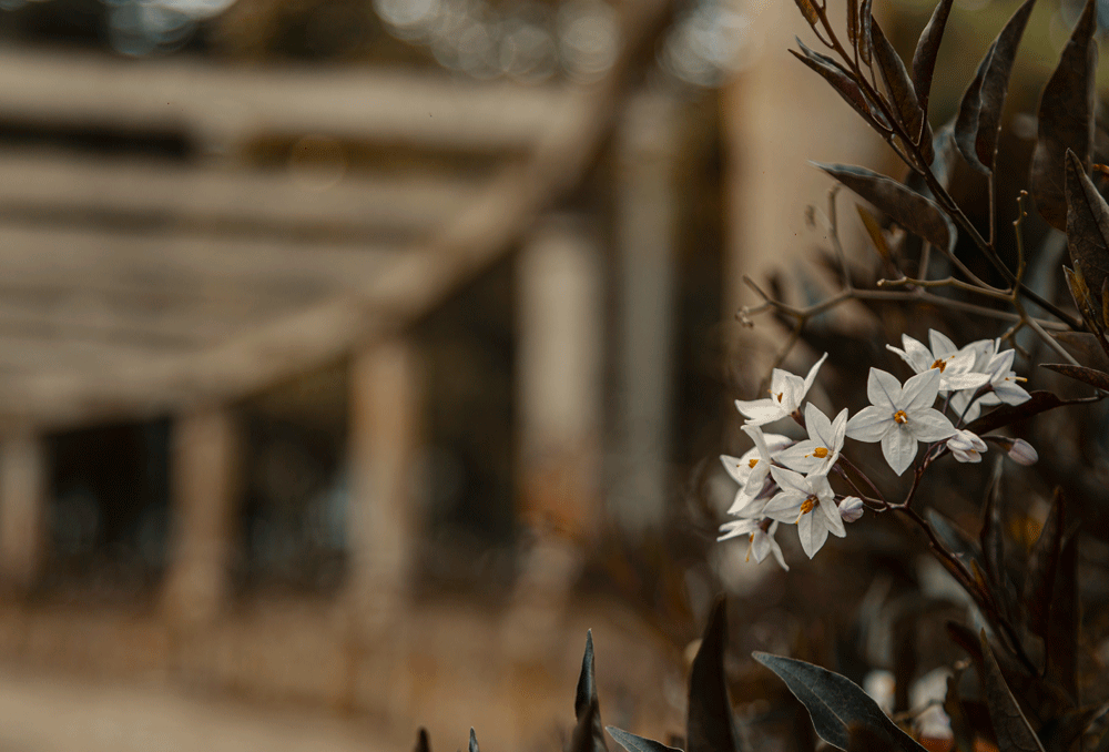 Parque Nacional Olaya Herrera