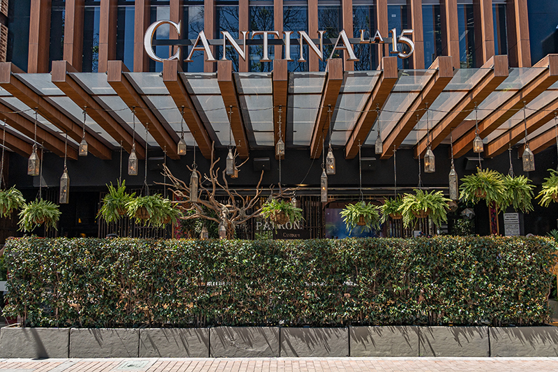 Zona Gourmet de Zona T