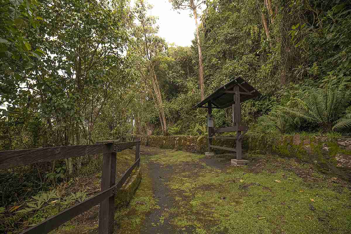 regalate-un-respiro-en-la-naturaleza-capitalina