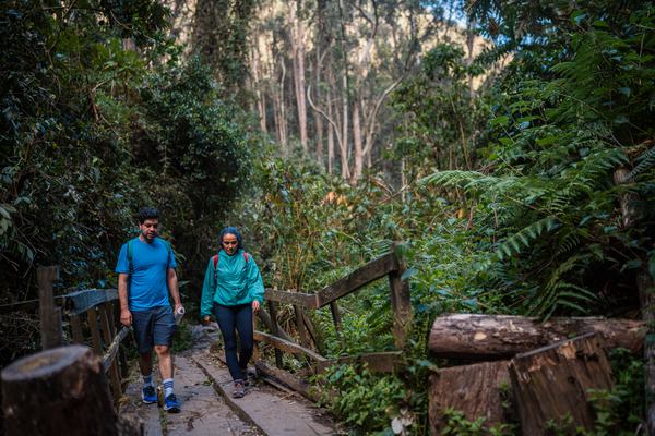 Camino que conecta al pozo de las arrugas, lugar donde decían que las mujeres se bañaban para evitar la vejez. Foto: Diego Cuevas - IDT