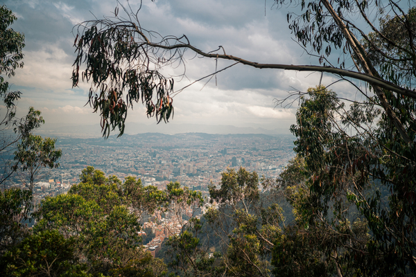 Vista parcial de la ciudad de bogotá desde el mirador de la Virgen en el sendero. Foto: Diego Cuevas - IDT