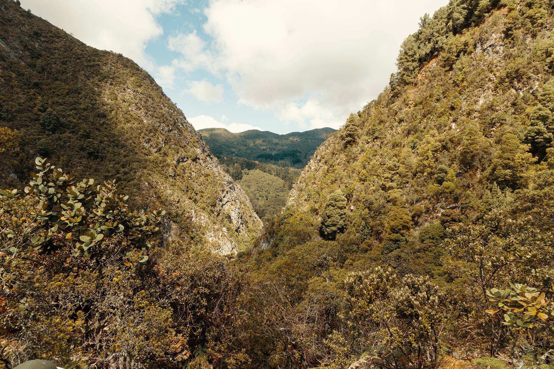 Vista de los cerros orientales de Bogotá desde el sendero Vicachá. Foto: IDT