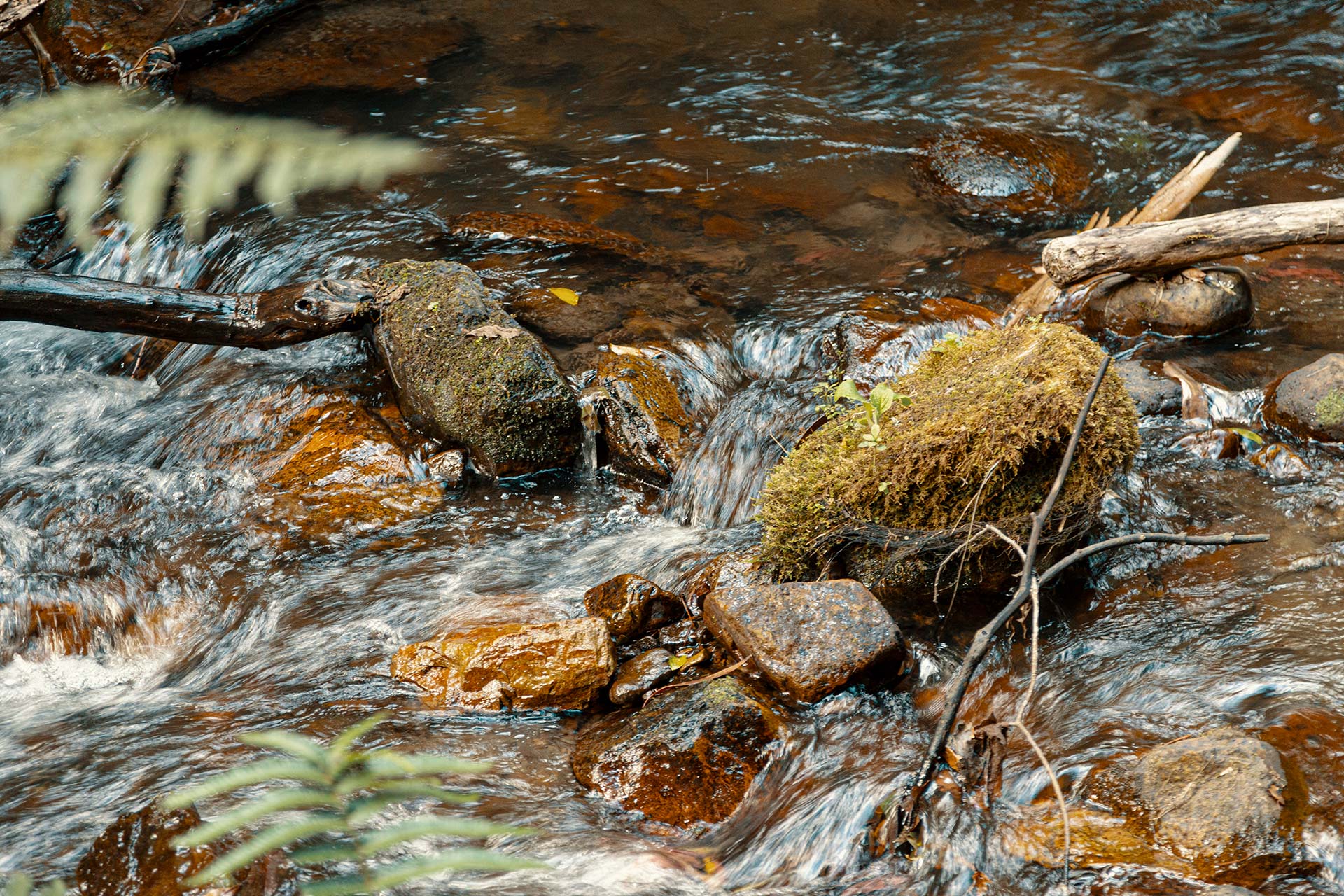 Cascada Chusque y río Vicachá. Foto: IDT