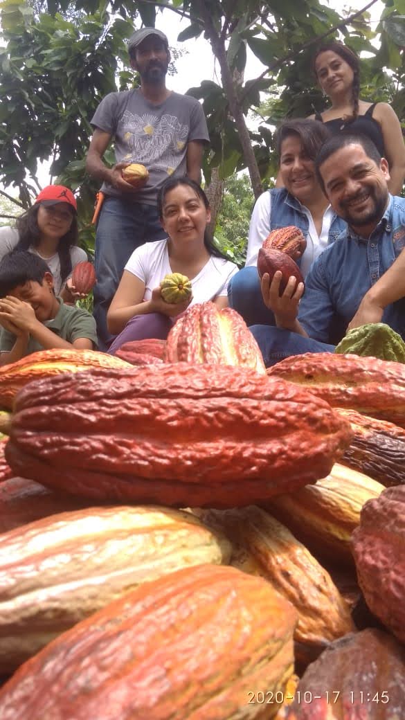 Experiencia Cacaotera Personalizada 