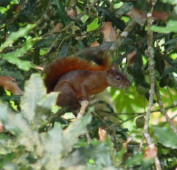 Mogambo: El jardín botánico en las montañas de Viotá