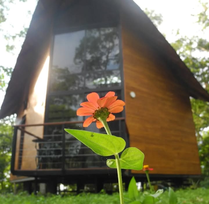 Mogambo: El jardín botánico en las montañas de Viotá