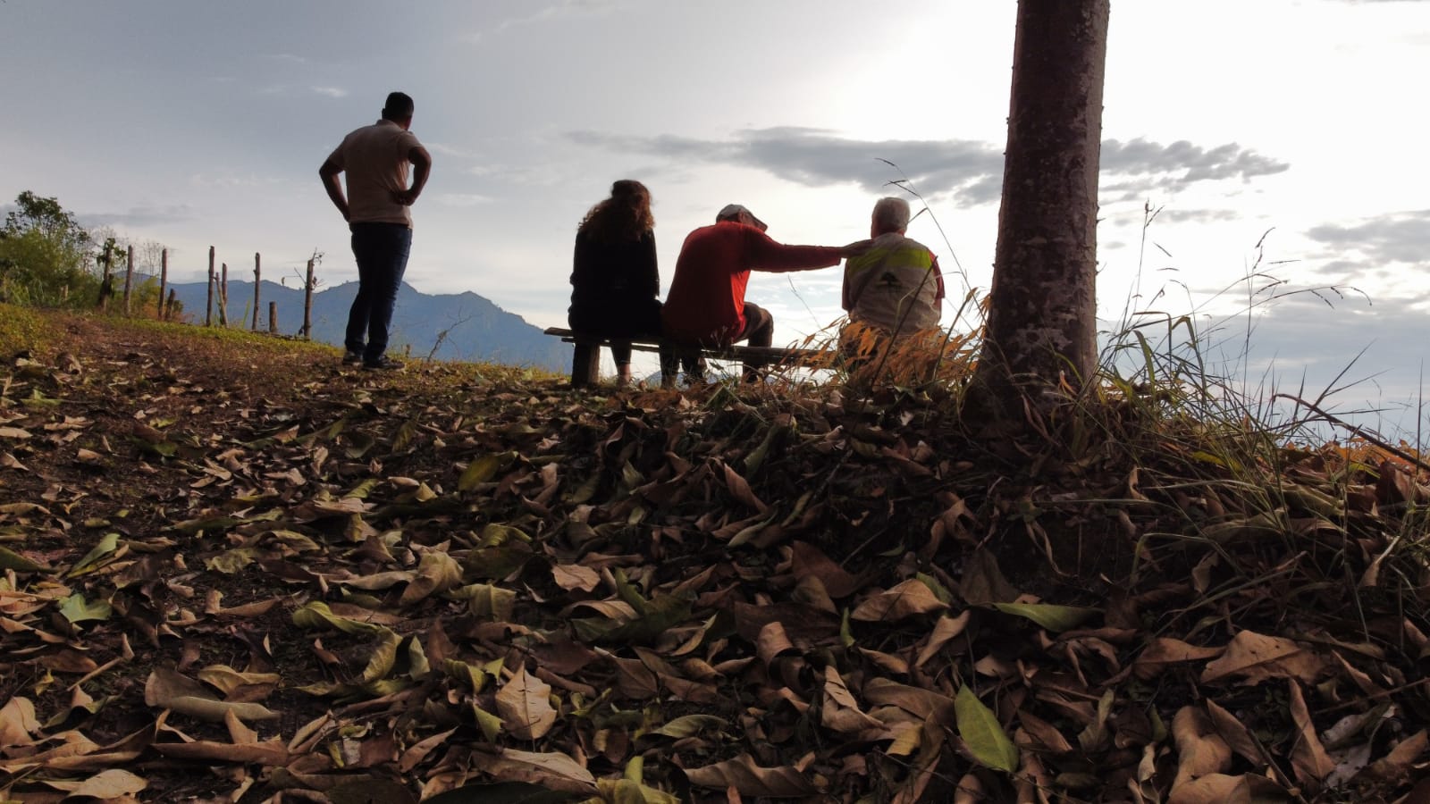 Mogambo: El jardín botánico en las montañas de Viotá