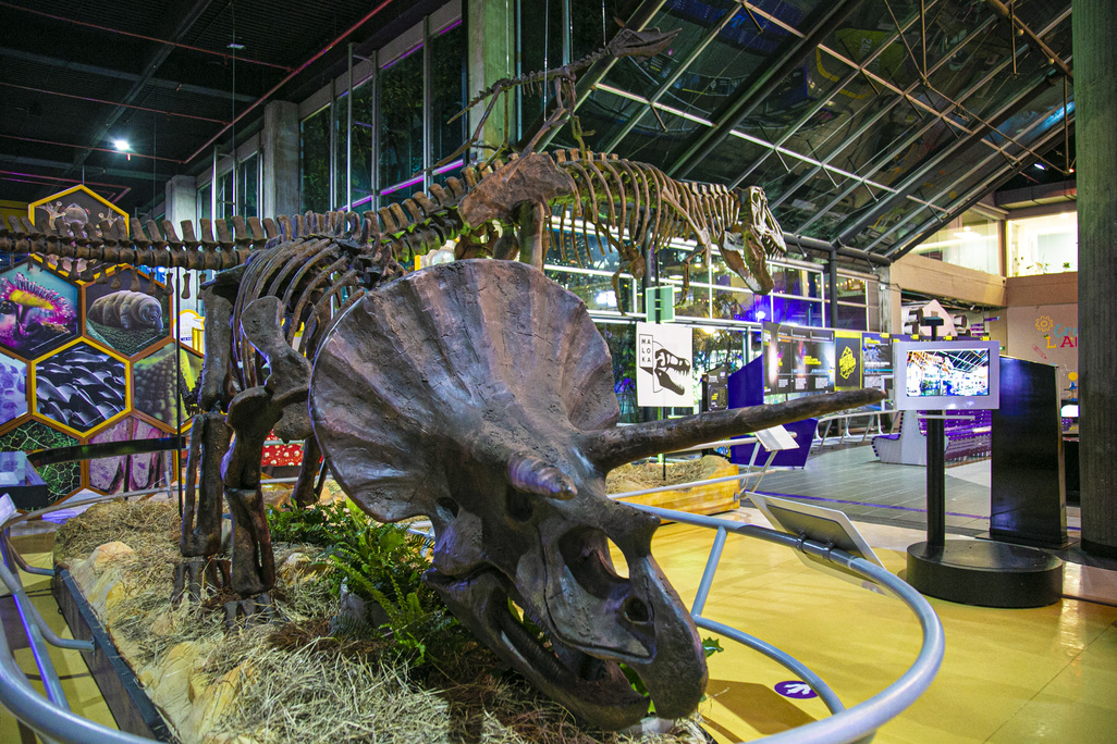 tecnología e innovación