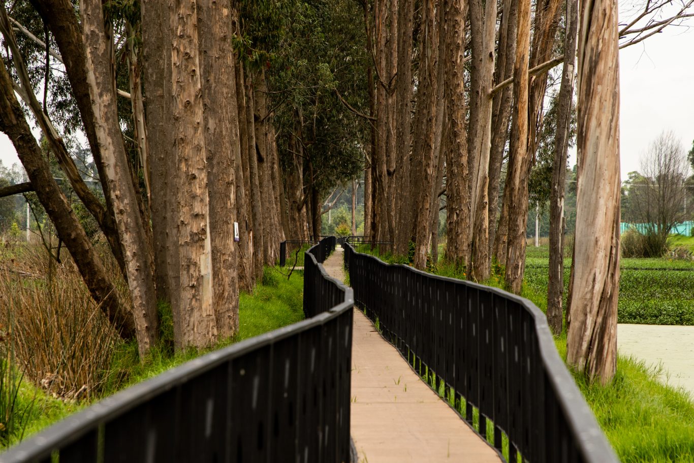 Parque Ecológico Distrital de Humedal Jaboque