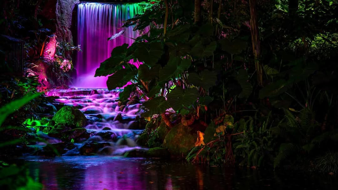 navidad-en-el-jardin-botanico-de-bogota-2025--magia--luz-y-naturaleza-para-toda-la-familia