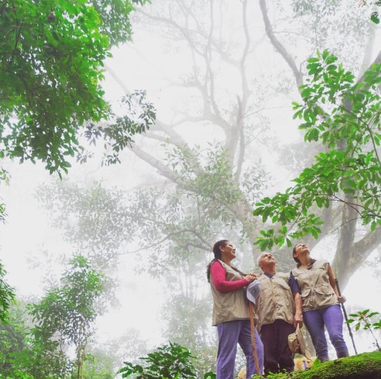 Mogambo, naturaleza infinita: descubre el gran jardín botánico de Cundinamarca, ¿dónde, qué ver?