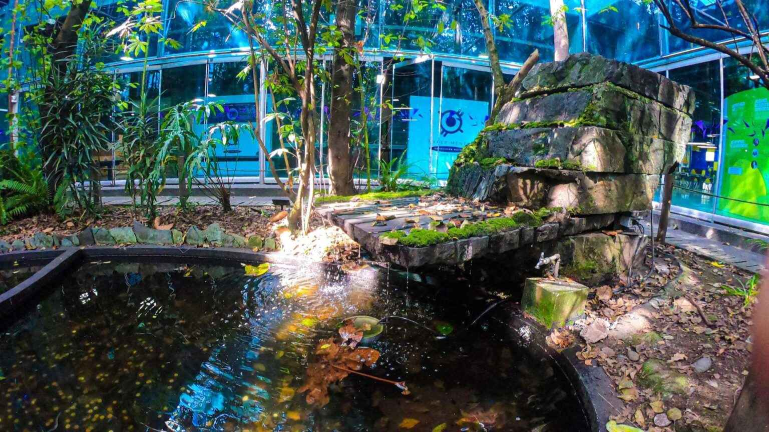 En Maloka, la Navidad es una temporada para descubrir la magia de la ciencia y la luz. Fotografía cortesía de Maloka