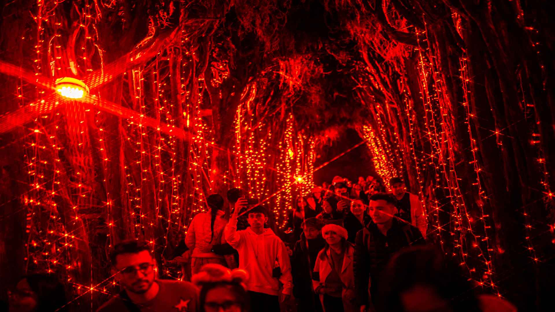 Pasillo mágico de luces rojas centelleantes en el Festival Brilla 2024. Foto: Diego Cuevas - Archivo IDT.