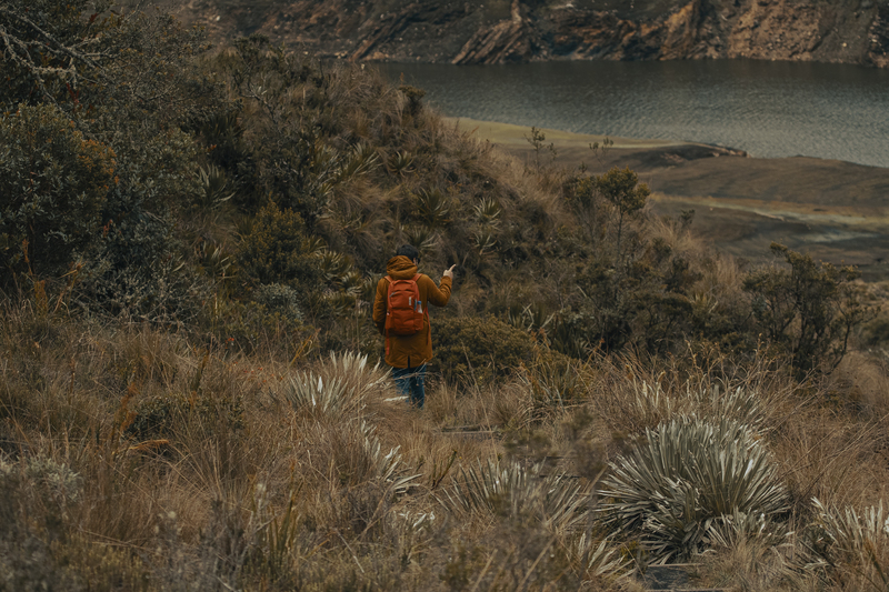 Las Lagunas de Siecha, en Guasca (Cundinamarca) son todo un paraíso de biodiversidad. Foto: Ricardo Báez - Archivo IDT